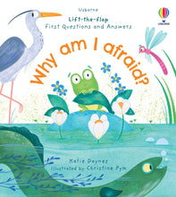 Load image into Gallery viewer, Usborne: Lift-the-Flap. LTF.