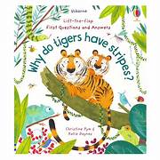 Load image into Gallery viewer, Usborne: Lift-the-Flap. LTF.