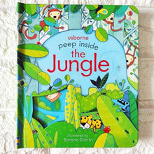 Load image into Gallery viewer, Usborne: Lift-the-Flap. LTF.