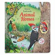 Load image into Gallery viewer, Usborne: Lift-the-Flap