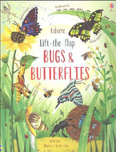 Load image into Gallery viewer, Usborne: Lift-the-Flap