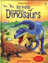 Load image into Gallery viewer, Usborne: Lift-the-Flap