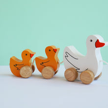 Load image into Gallery viewer, Pull Along Toys