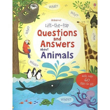 Load image into Gallery viewer, Usborne: Lift-the-Flap. LTF.
