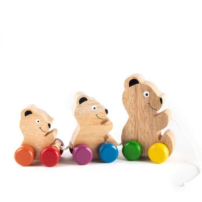 Pull Along Toys